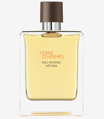 Parfyme - Terre dhermes - eau intense vetiver